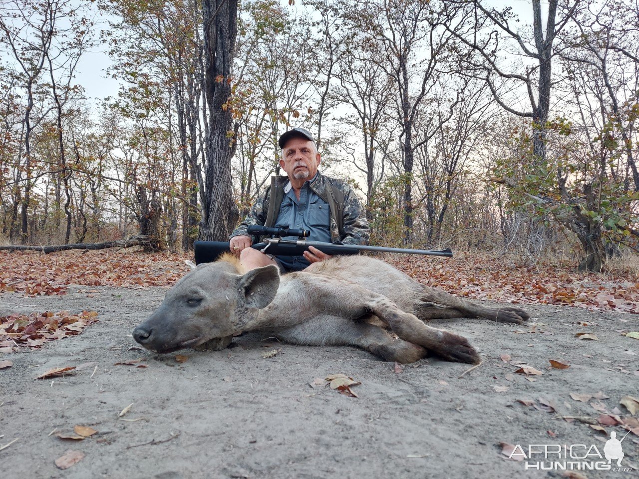 Hunting Hyena Zambia