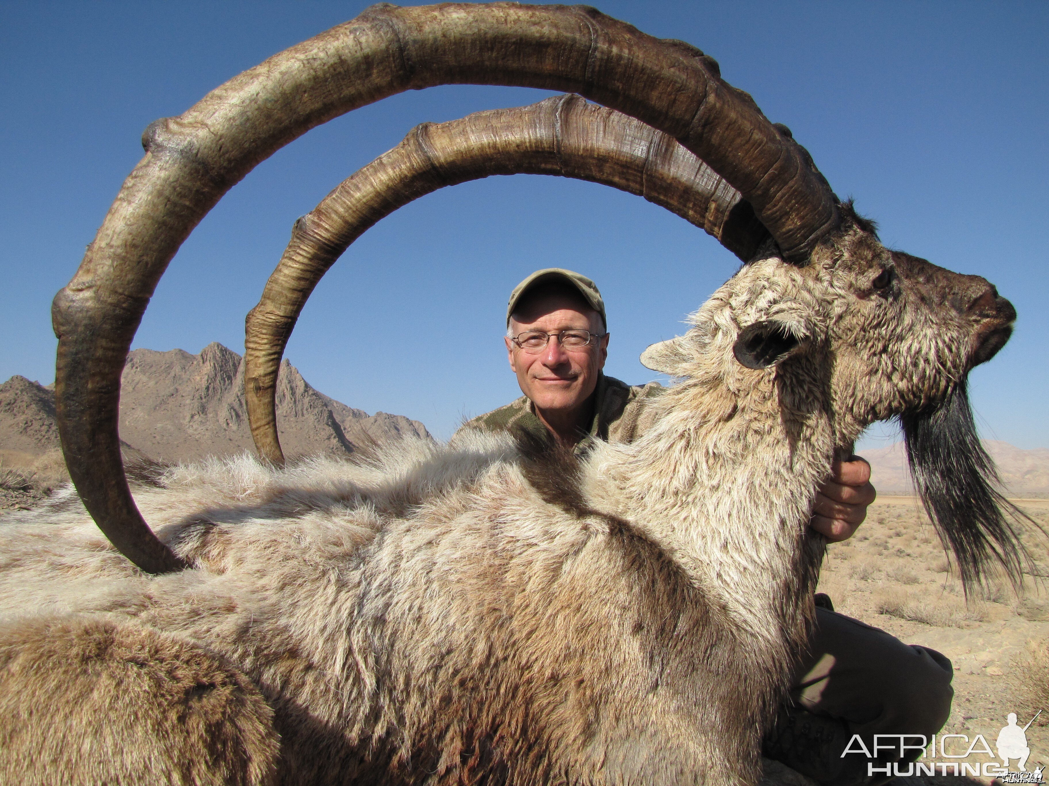 Hunting Ibex in Iran