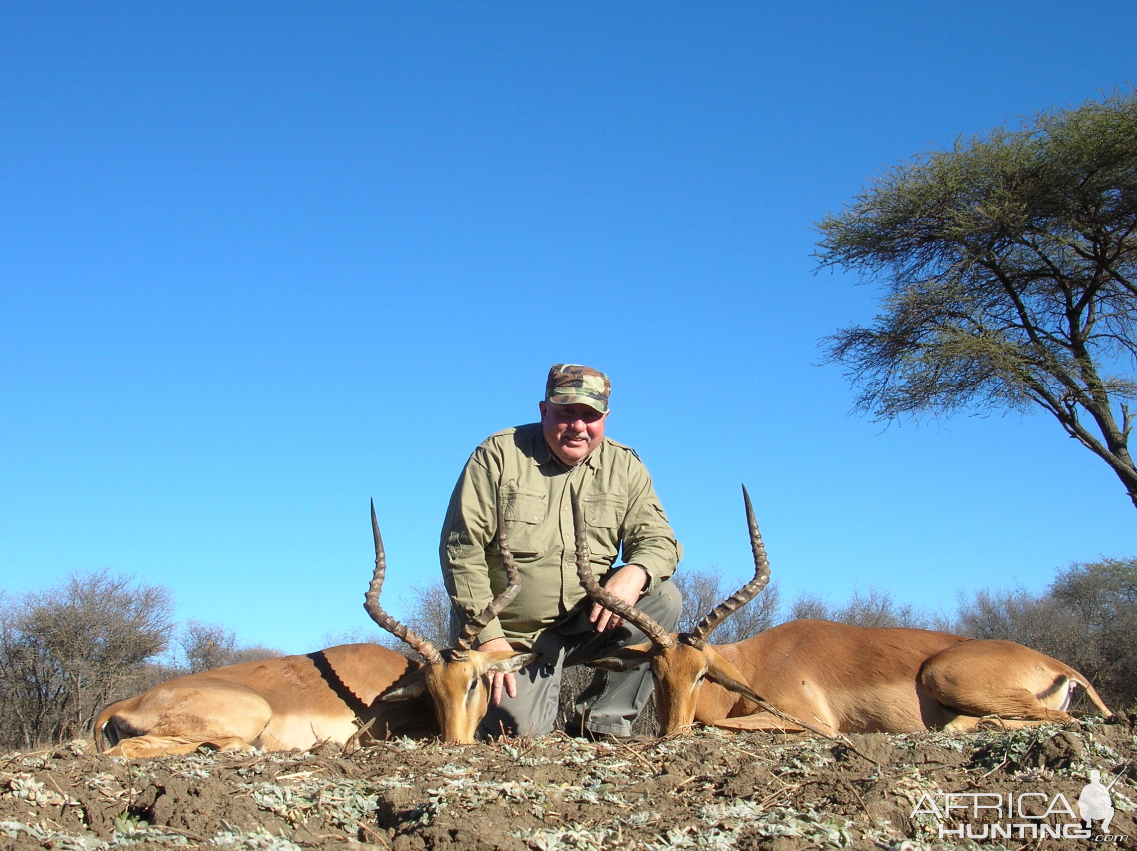 Hunting Impala in Namibia