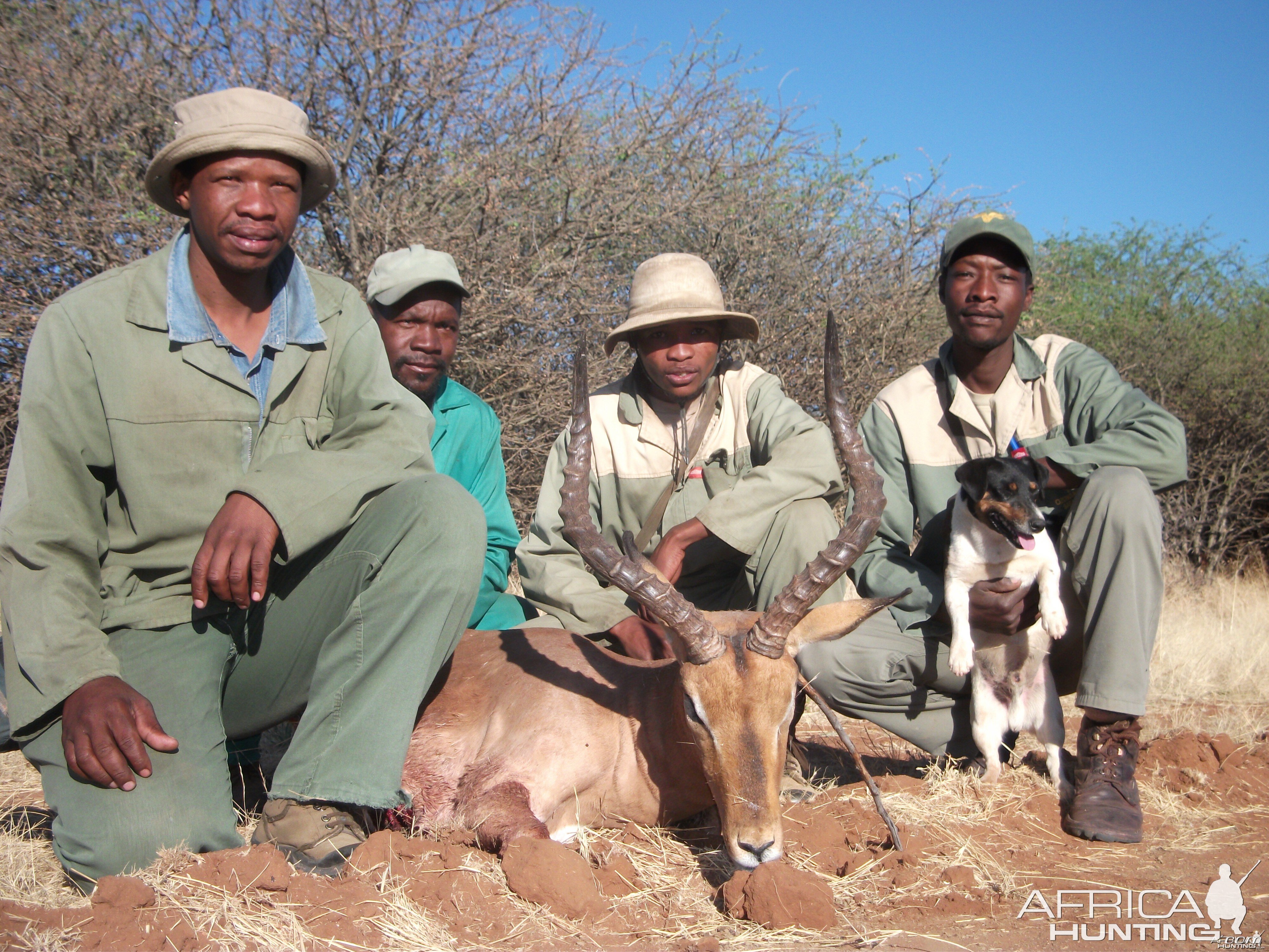 Hunting Impala in Namibia