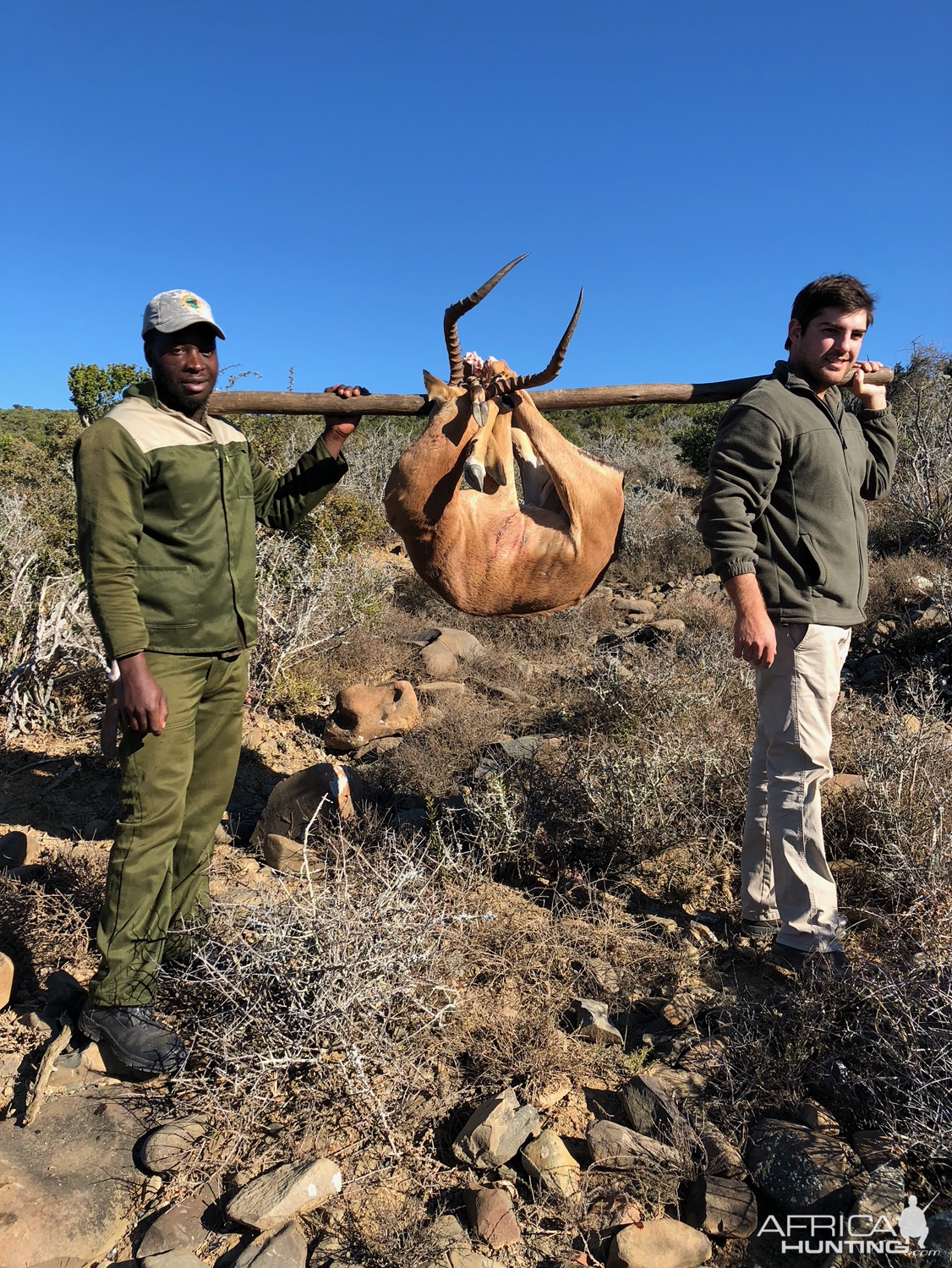 Hunting Impala in South Africa