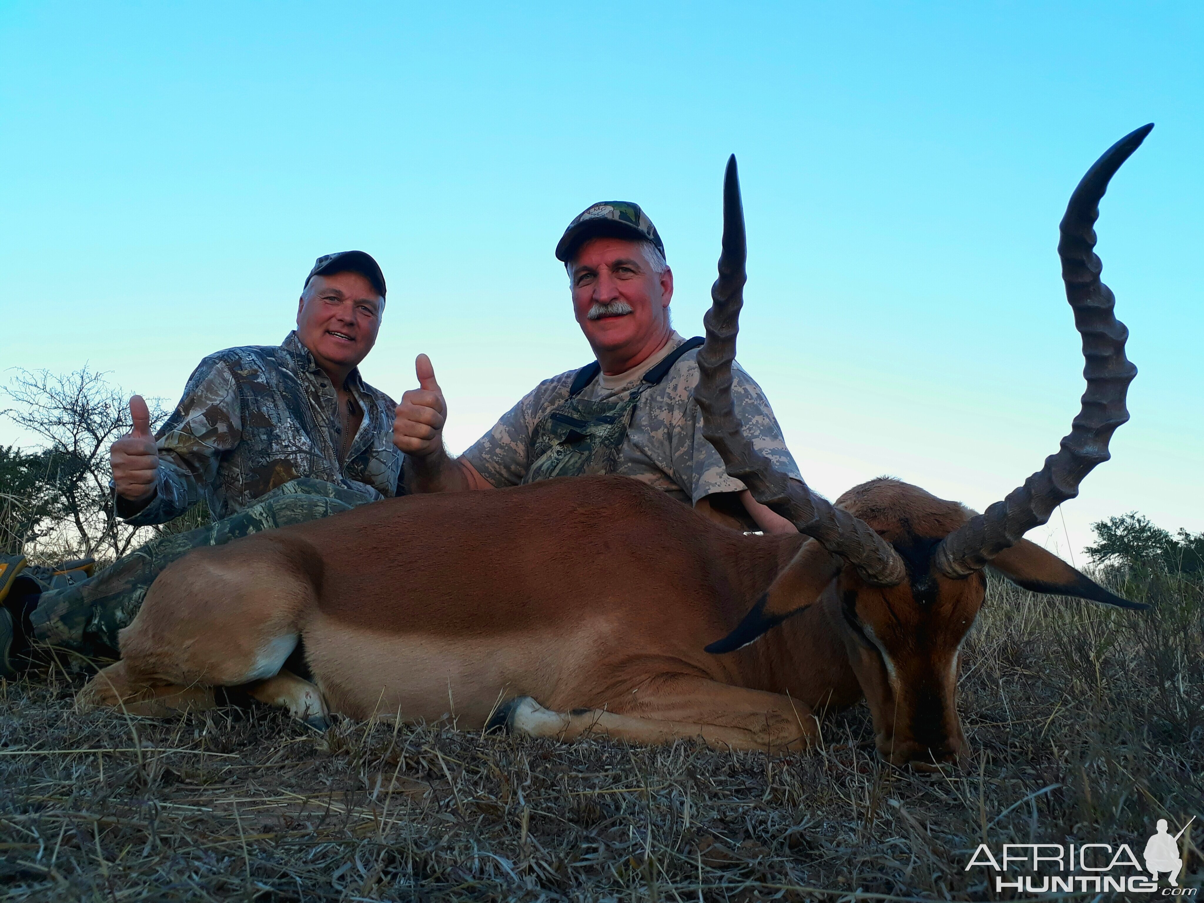 Hunting Impala in South Africa