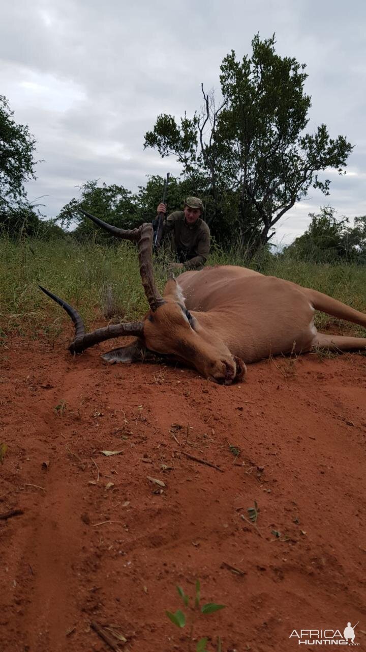 Hunting Impala in South Africa