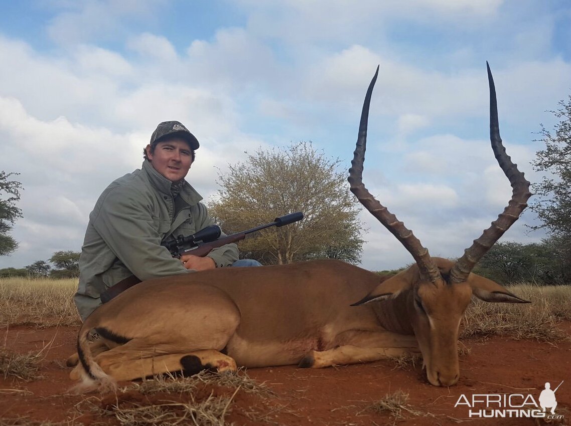 Hunting Impala - Limpopo Province