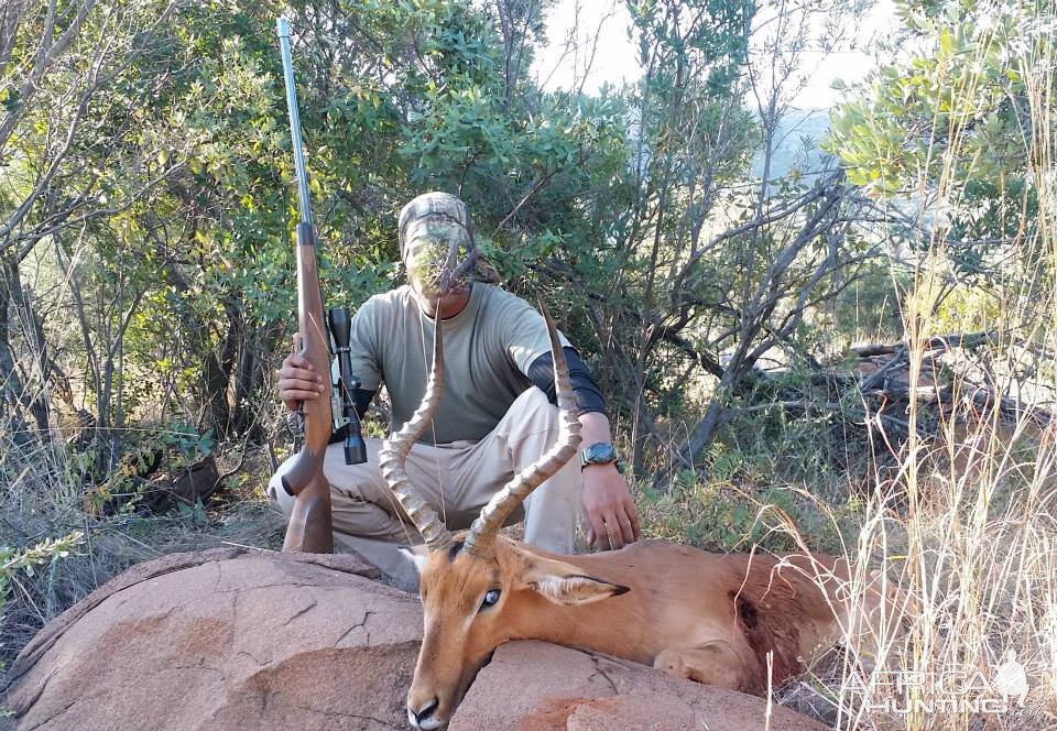 Hunting Impala South Africa