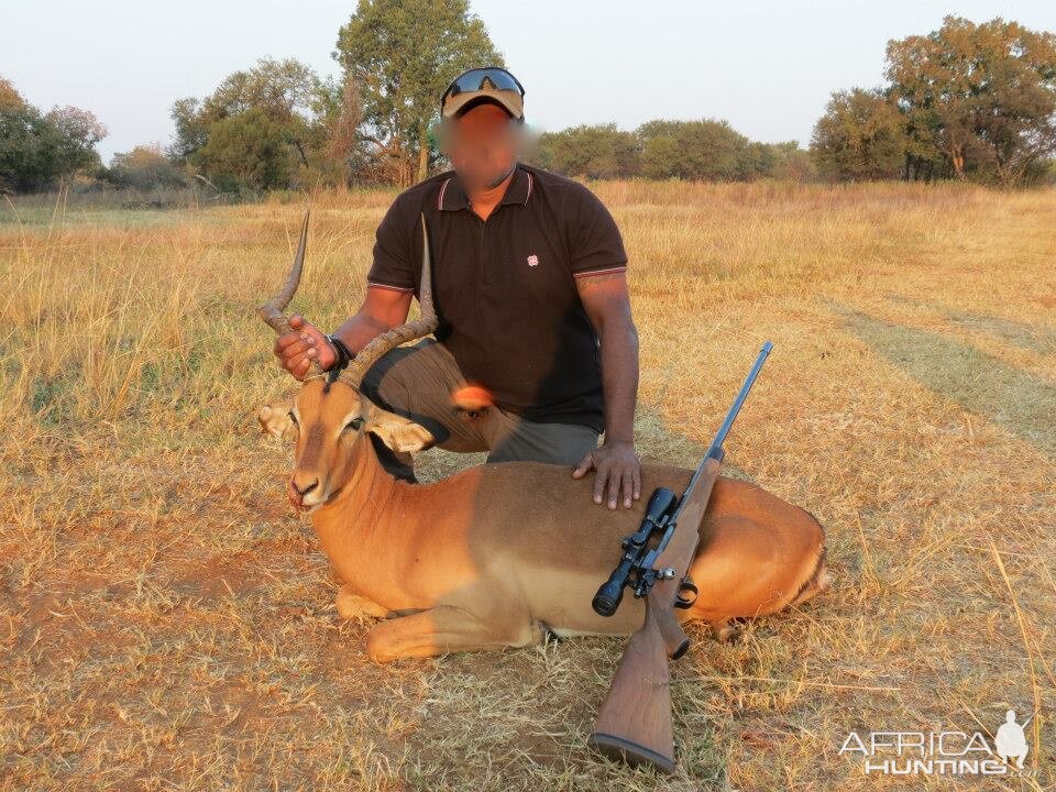 Hunting Impala South Africa