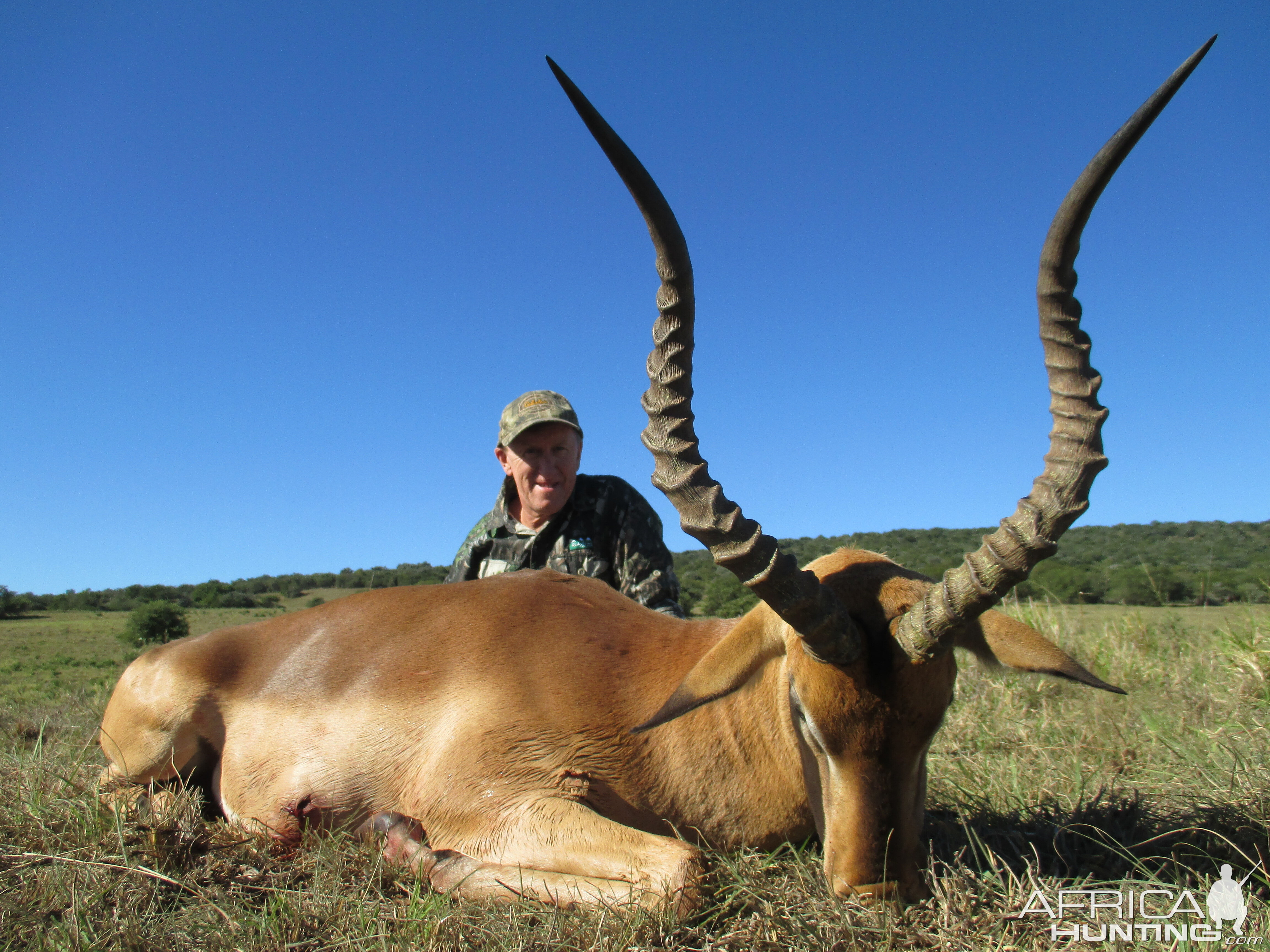 Hunting Impala South Africa