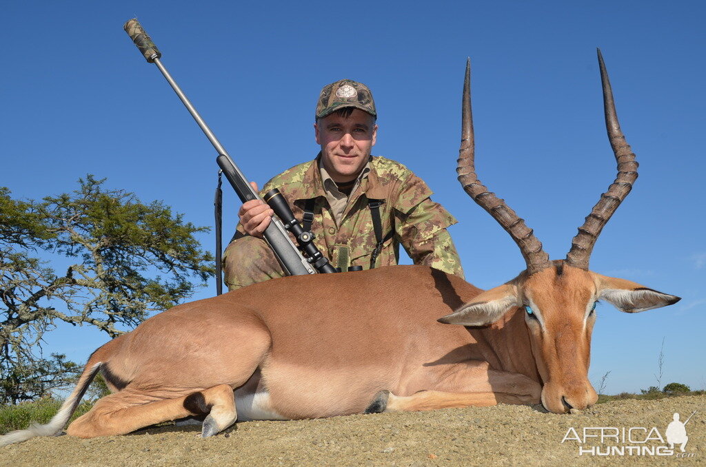 Hunting Impala South Africa