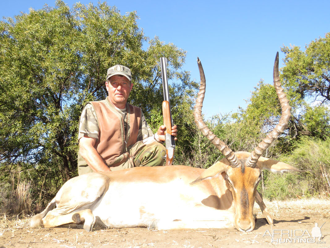 Hunting Impala South Africa