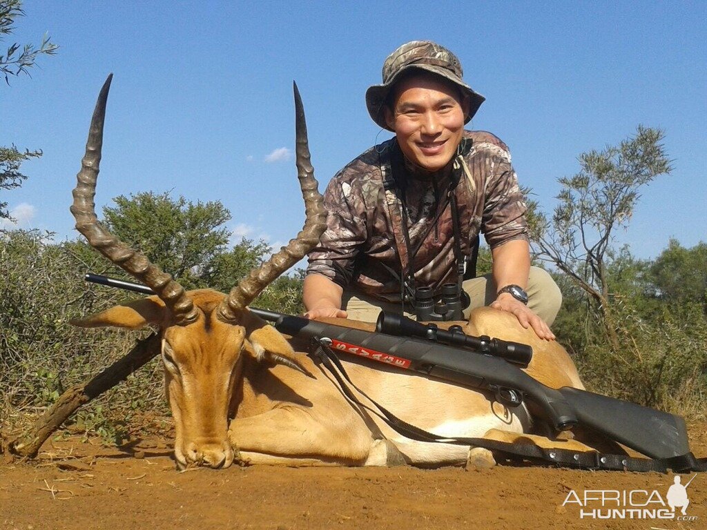 Hunting Impala South Africa