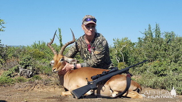 Hunting Impala South Africa