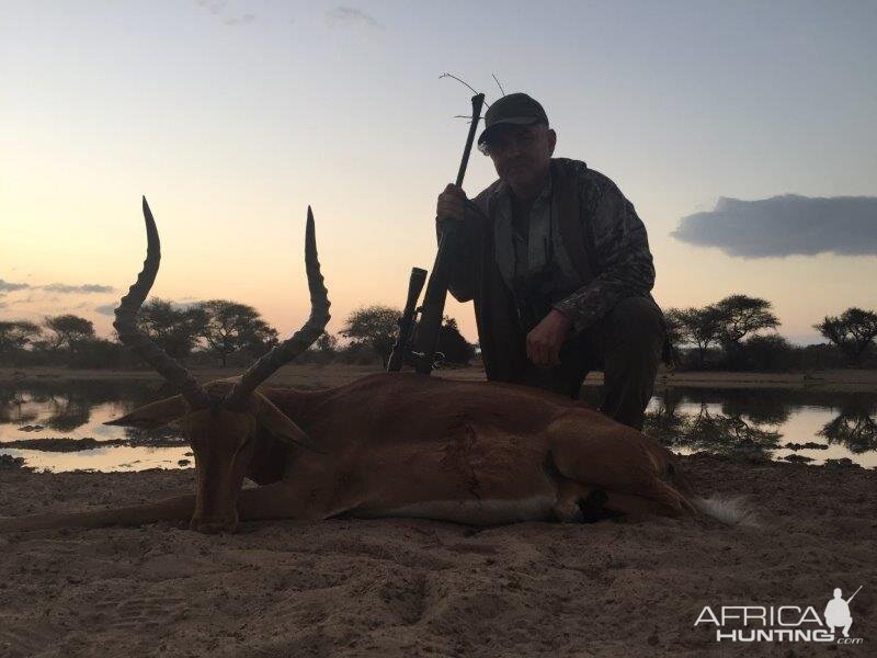 Hunting Impala South Africa