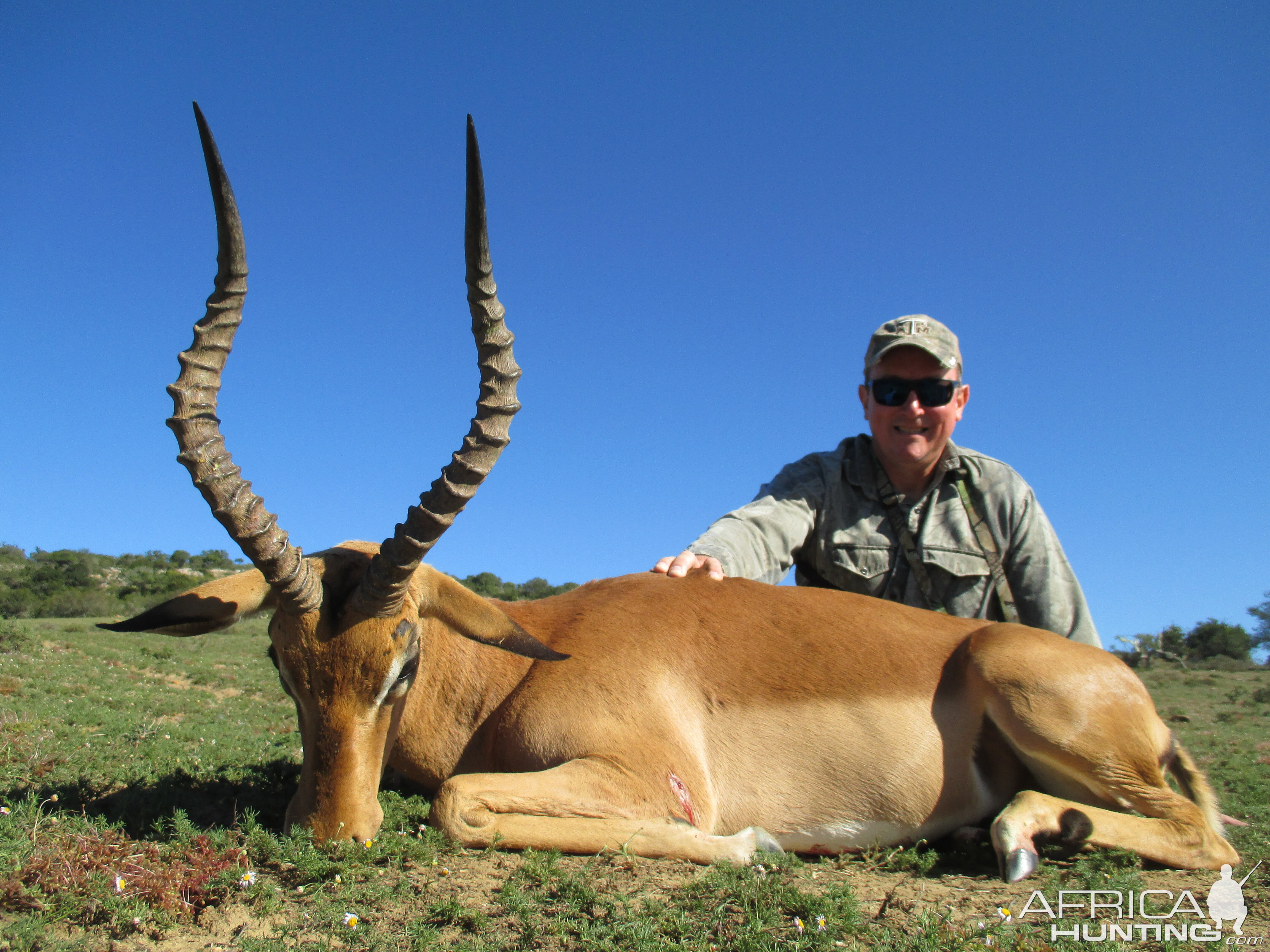 Hunting Impala South Africa