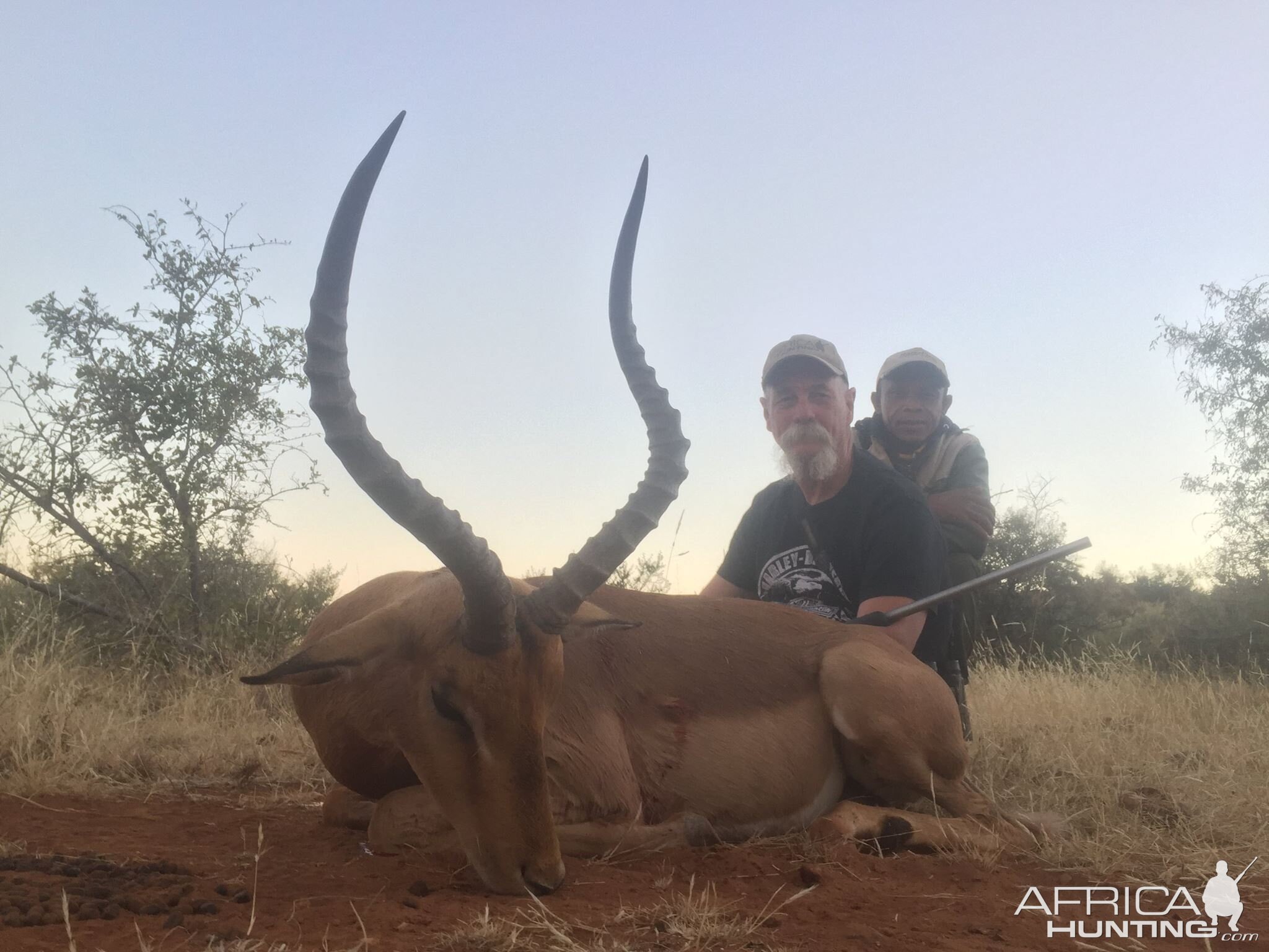 Hunting Impala South Africa