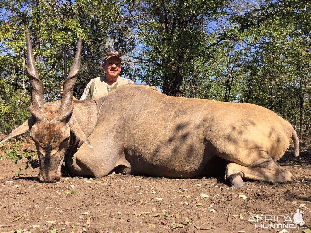 Hunting Impala Zimbabwe