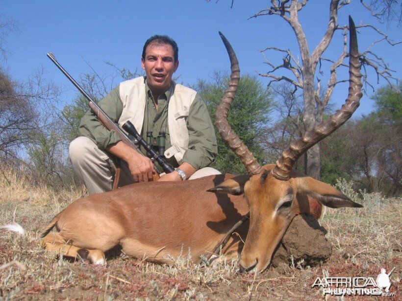 Hunting Impala