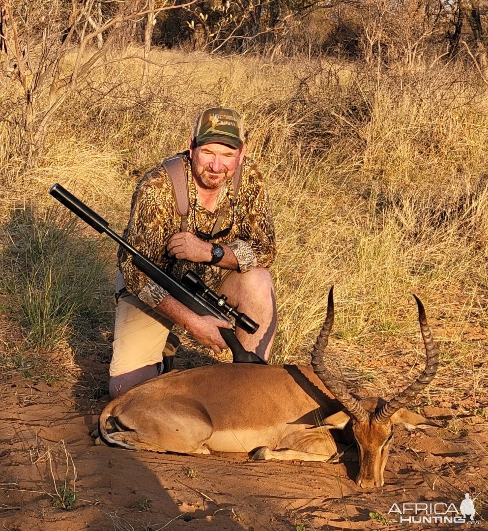 Hunting Impala