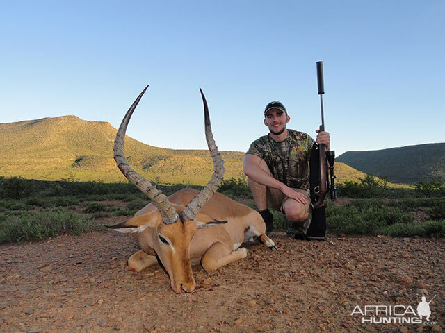 Hunting Impala