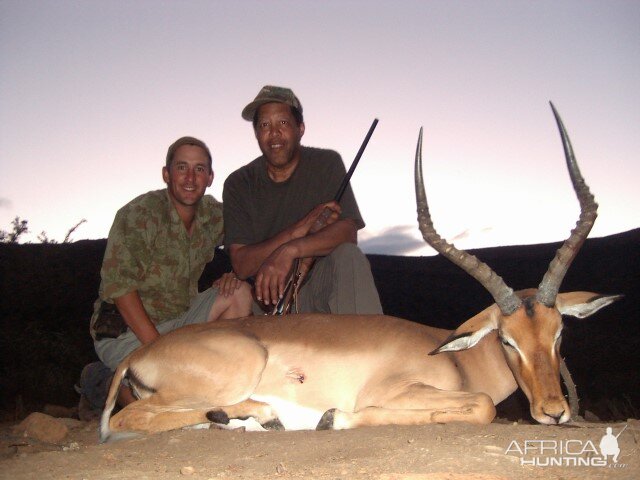 Hunting Impala