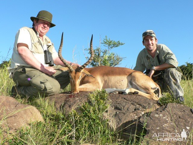 Hunting Impala