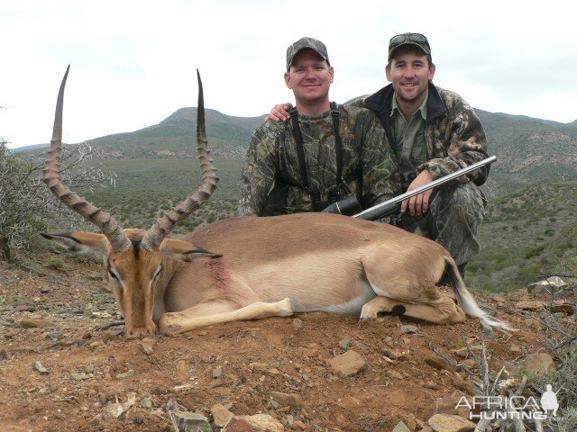 Hunting Impala