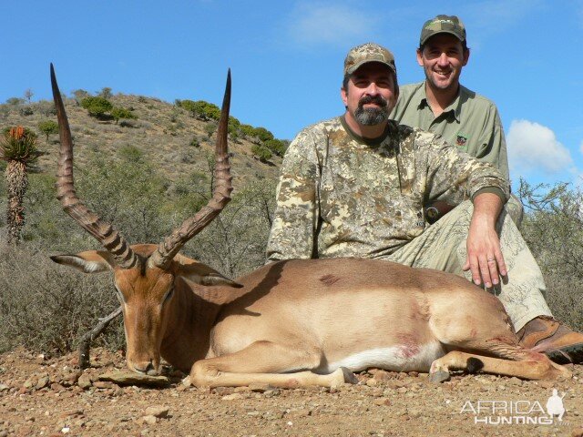 Hunting  Impala