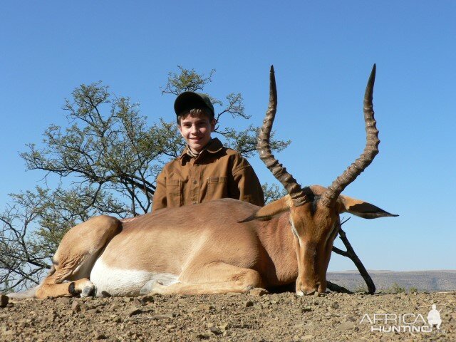 Hunting  Impala