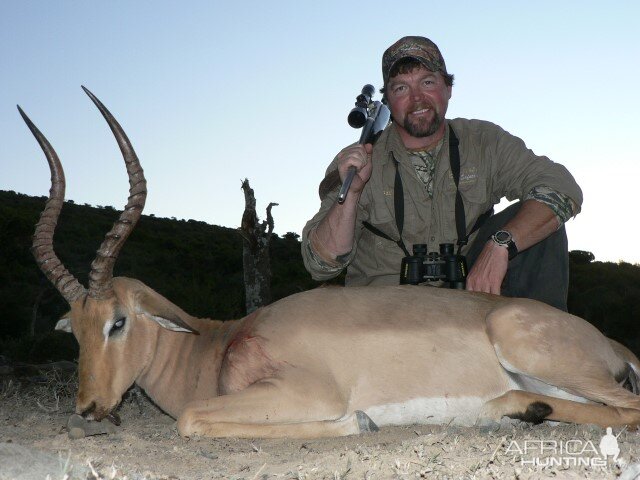 Hunting Impala