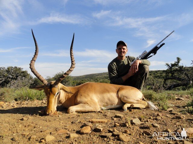 Hunting Impala