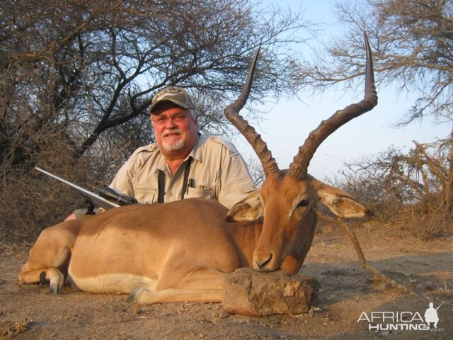 Hunting Impala