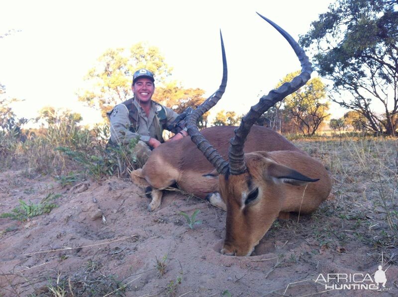 Hunting Impala