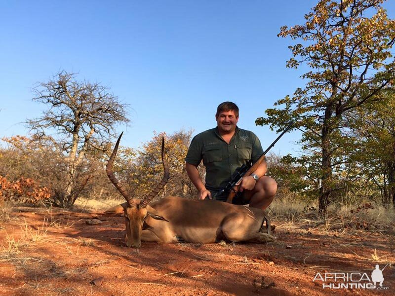 Hunting Impala