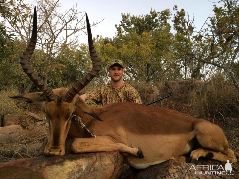 Hunting Impala