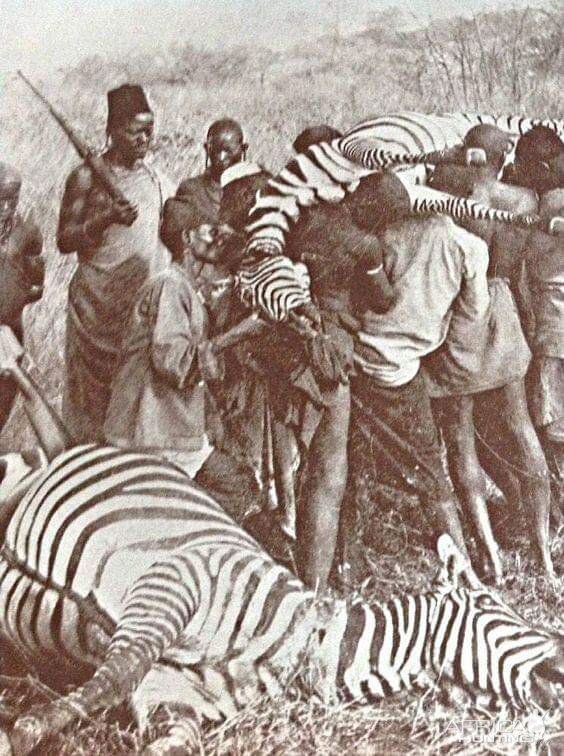 Hunting in Africa