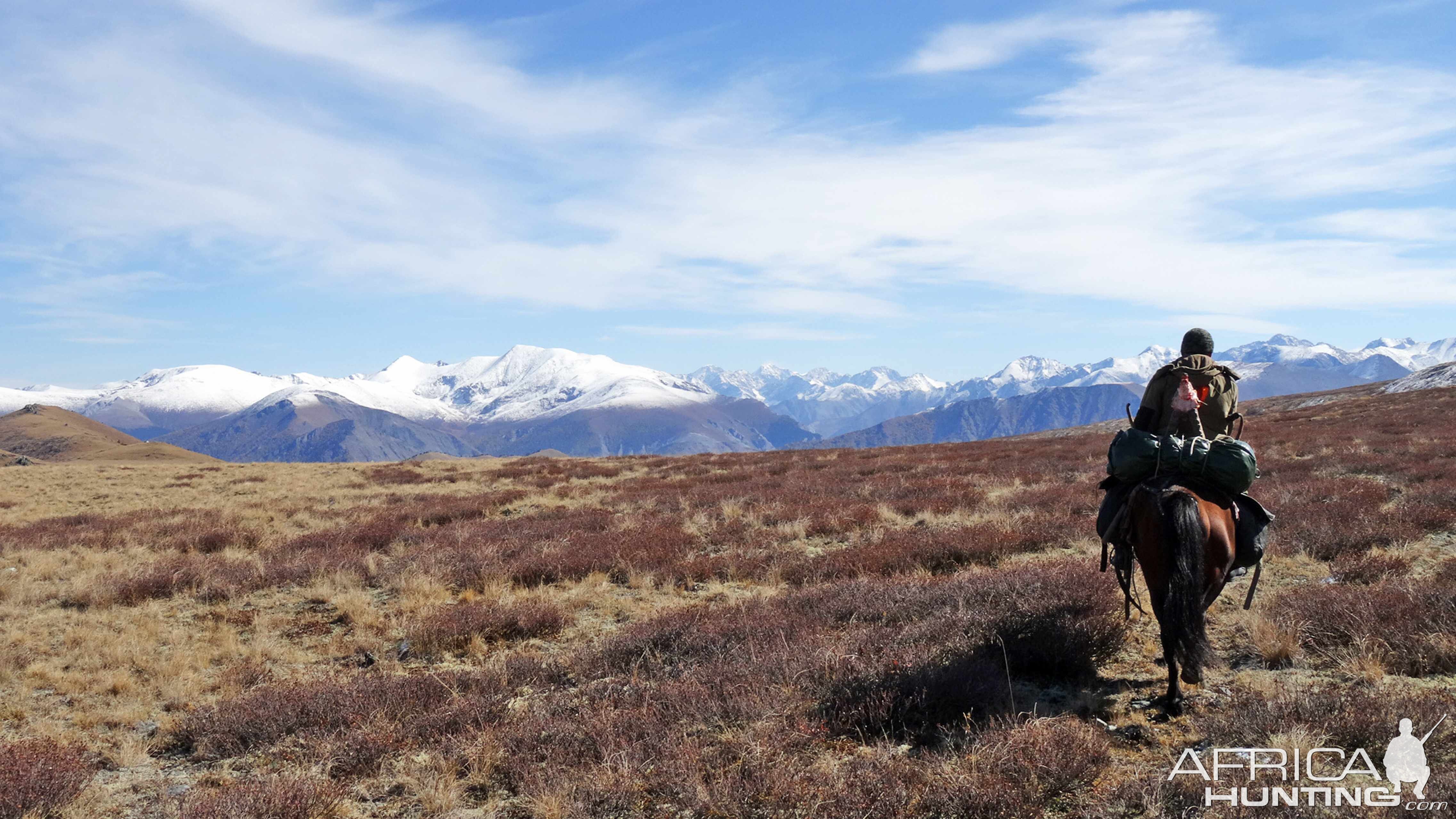 Hunting in Austria