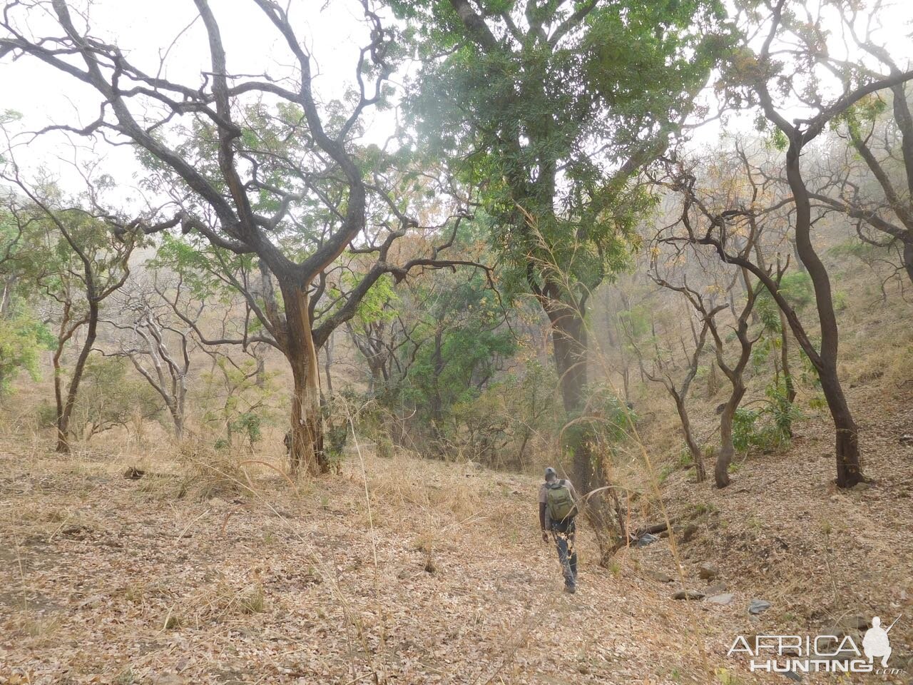 Hunting in Cameroon