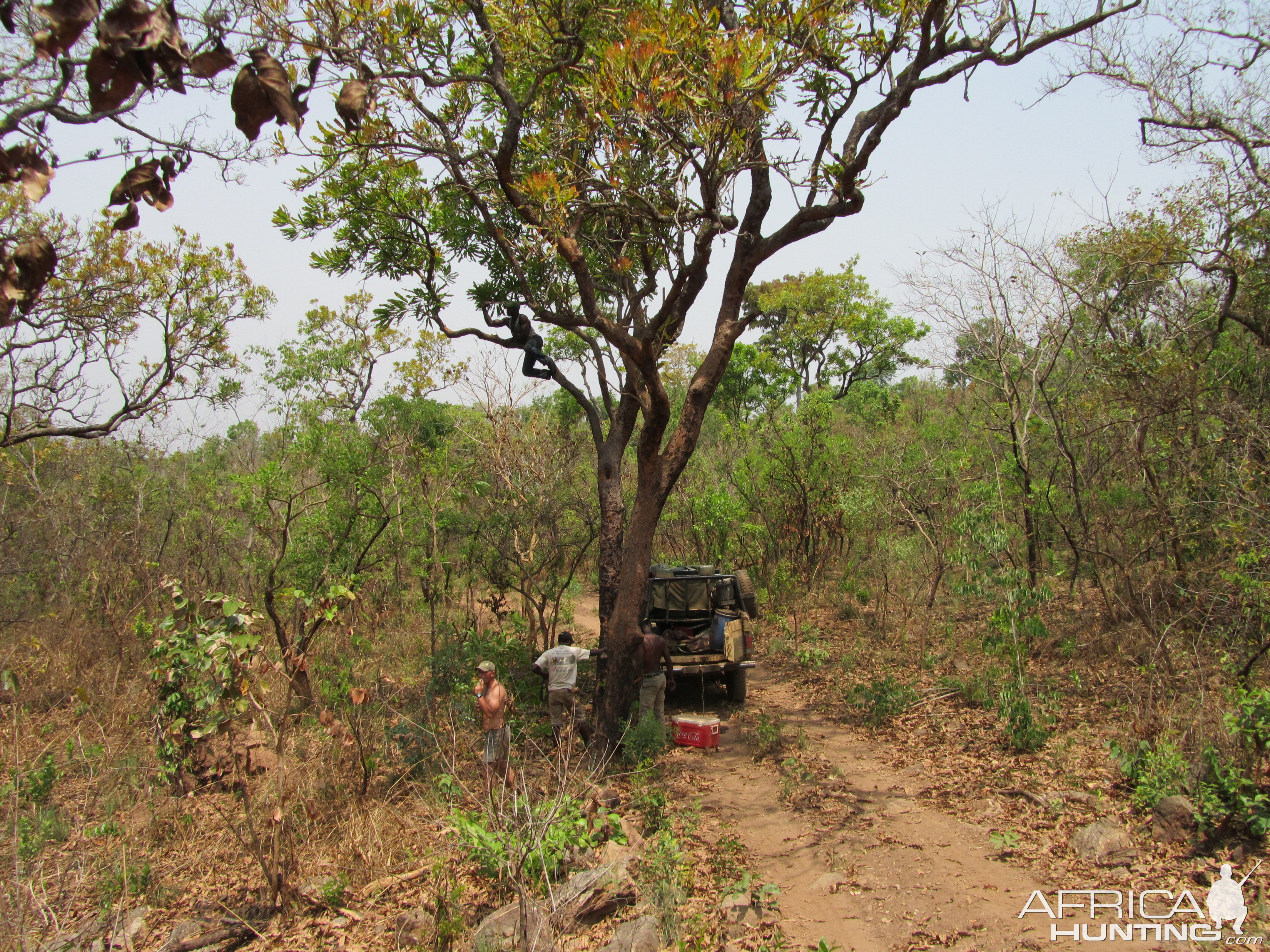 Hunting in CAR