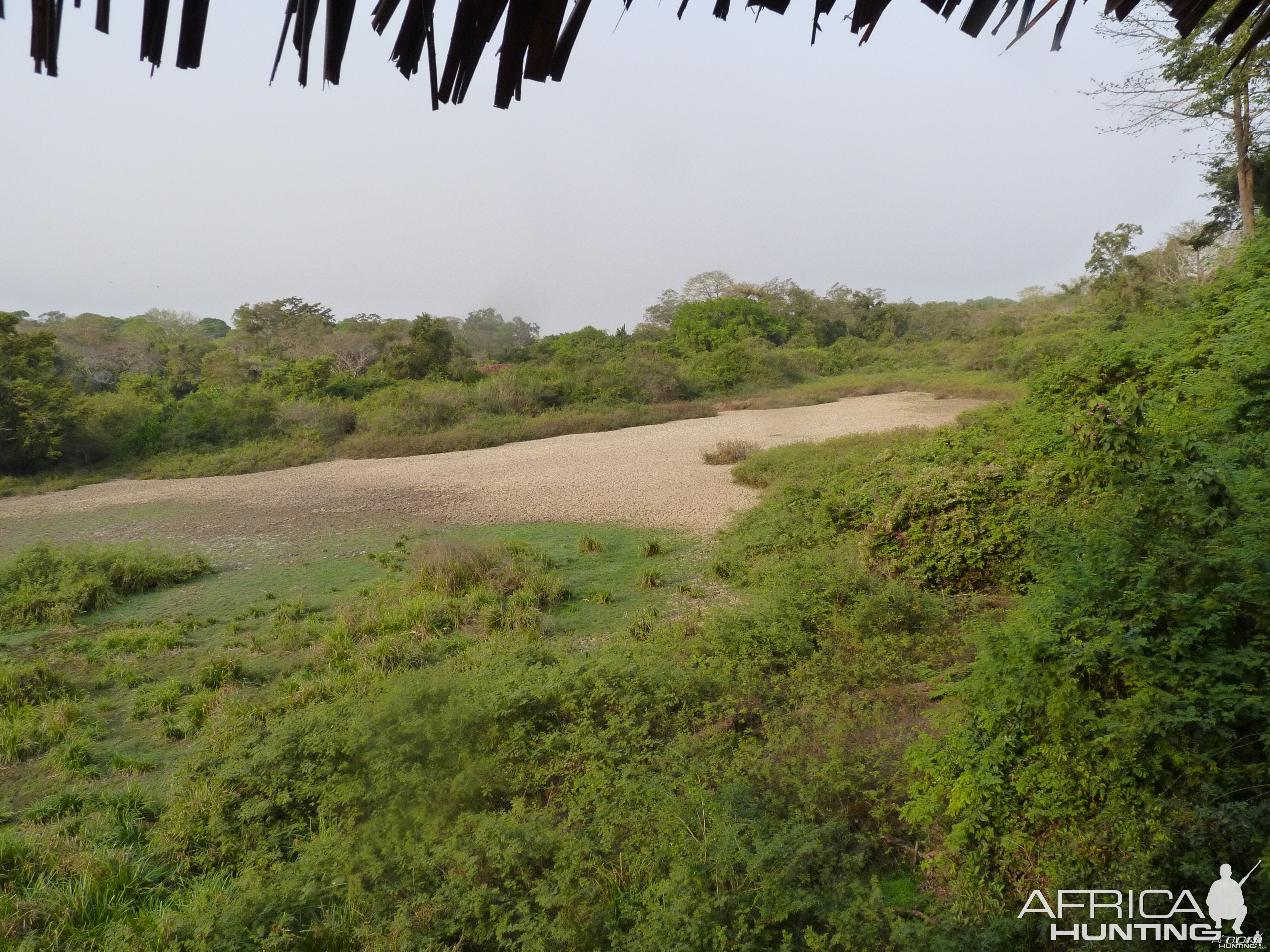 Hunting in Central African Republic