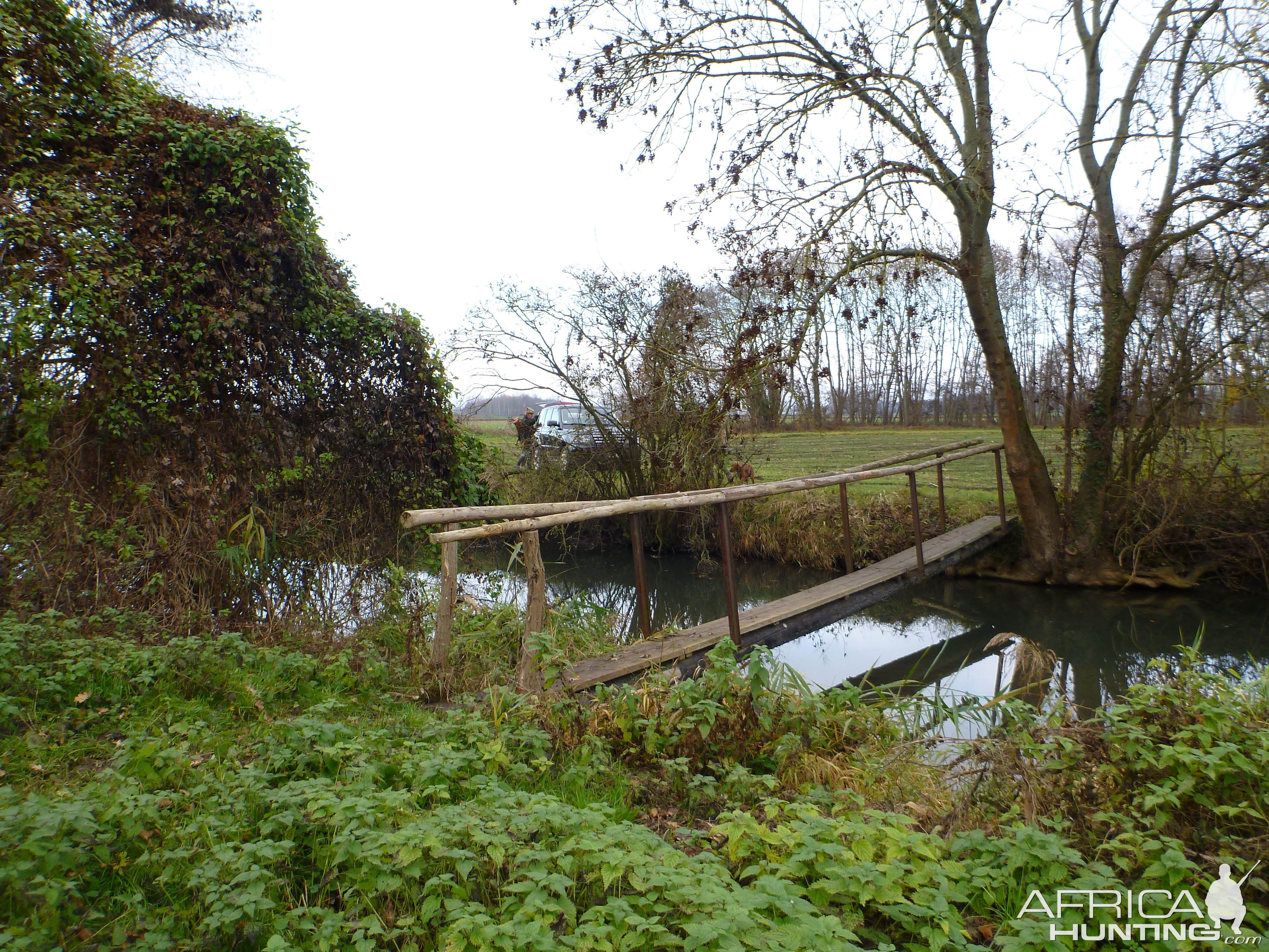 Hunting in France