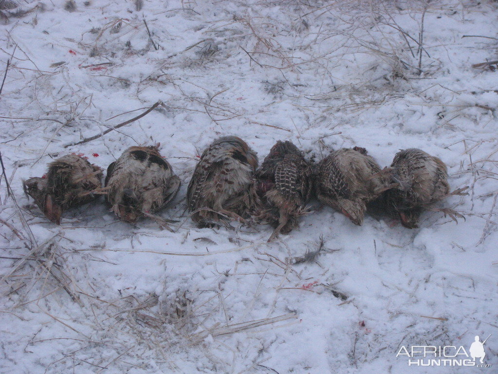 Hunting in Kyrgyzstan