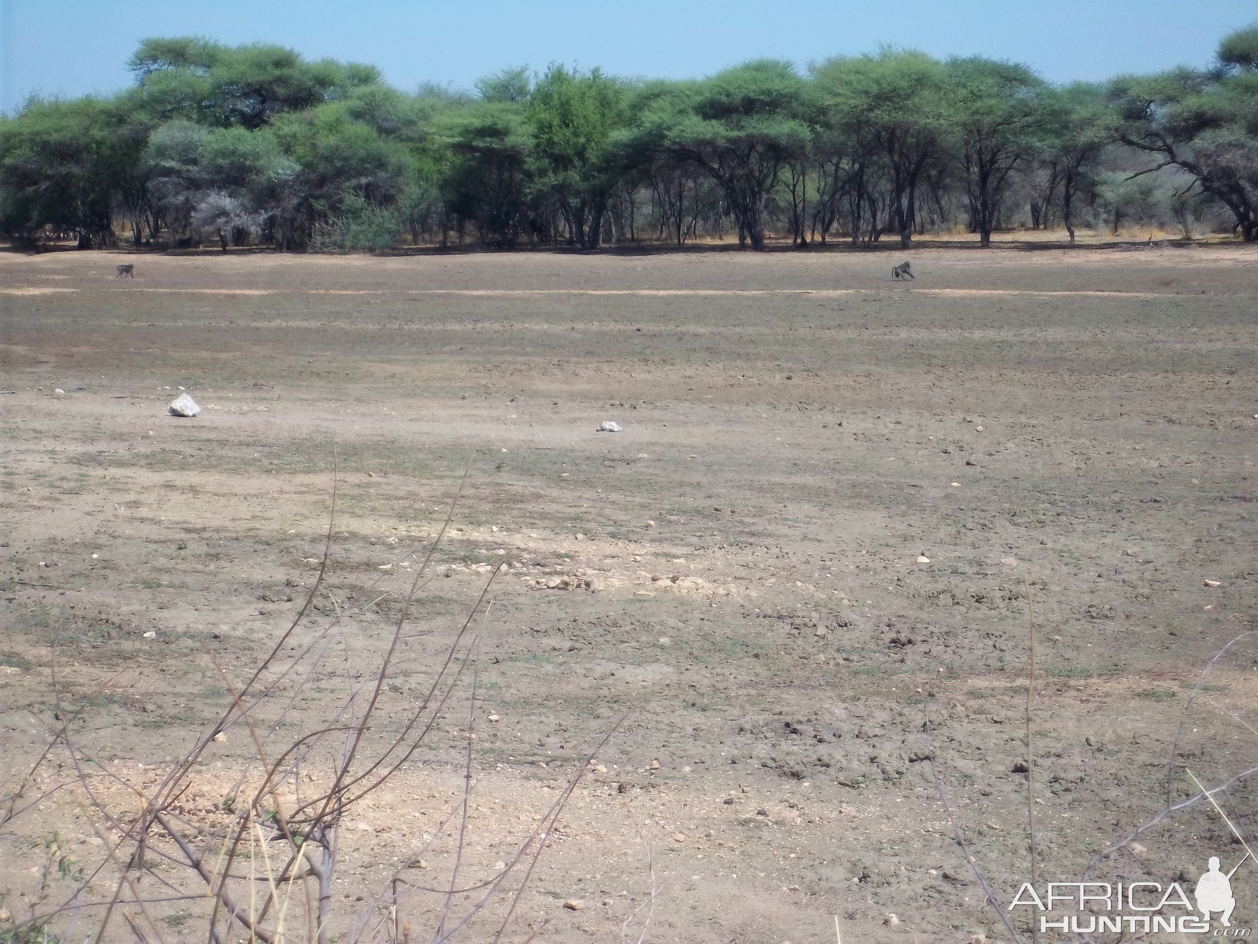 Hunting in Namibia