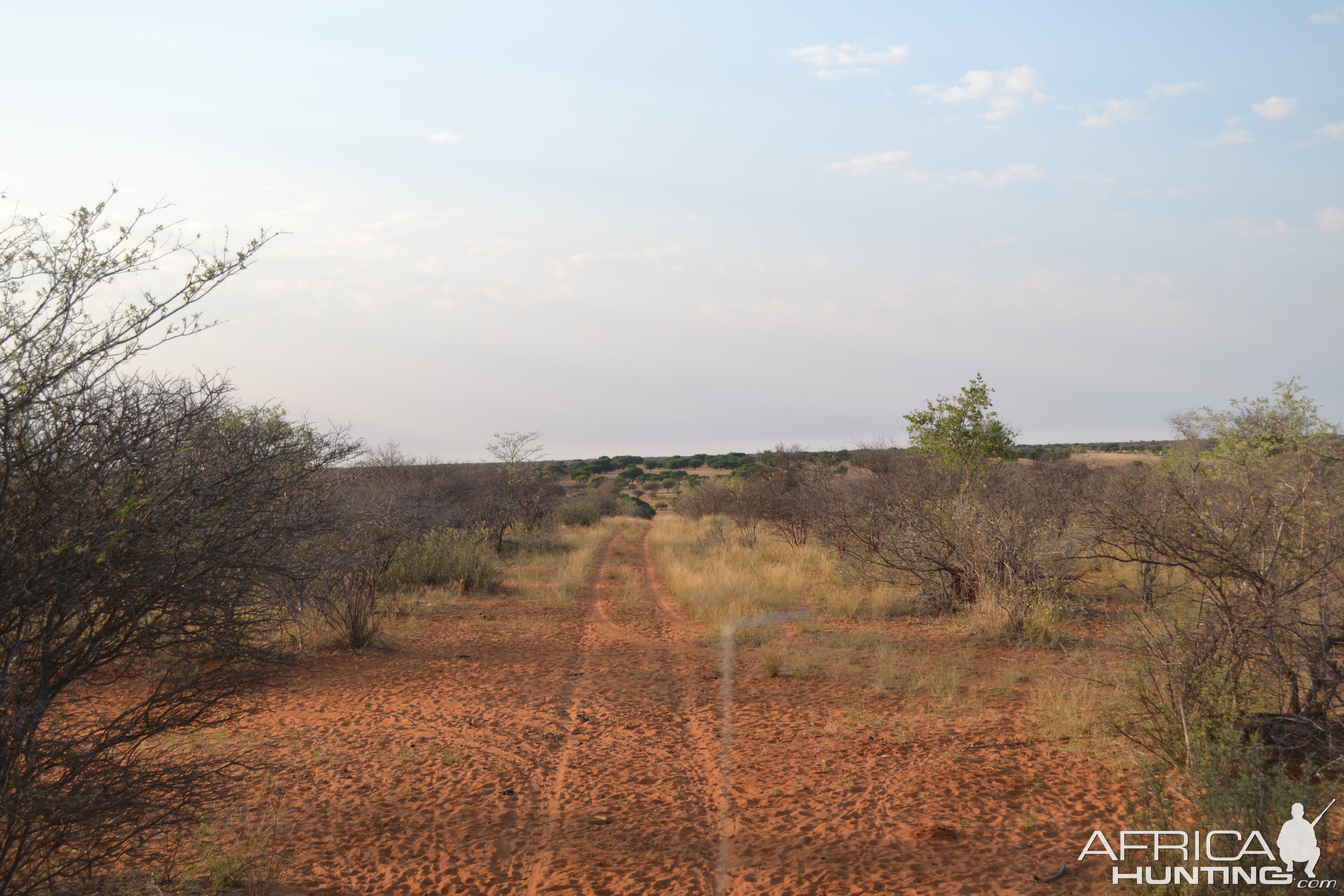 Hunting in Namibia