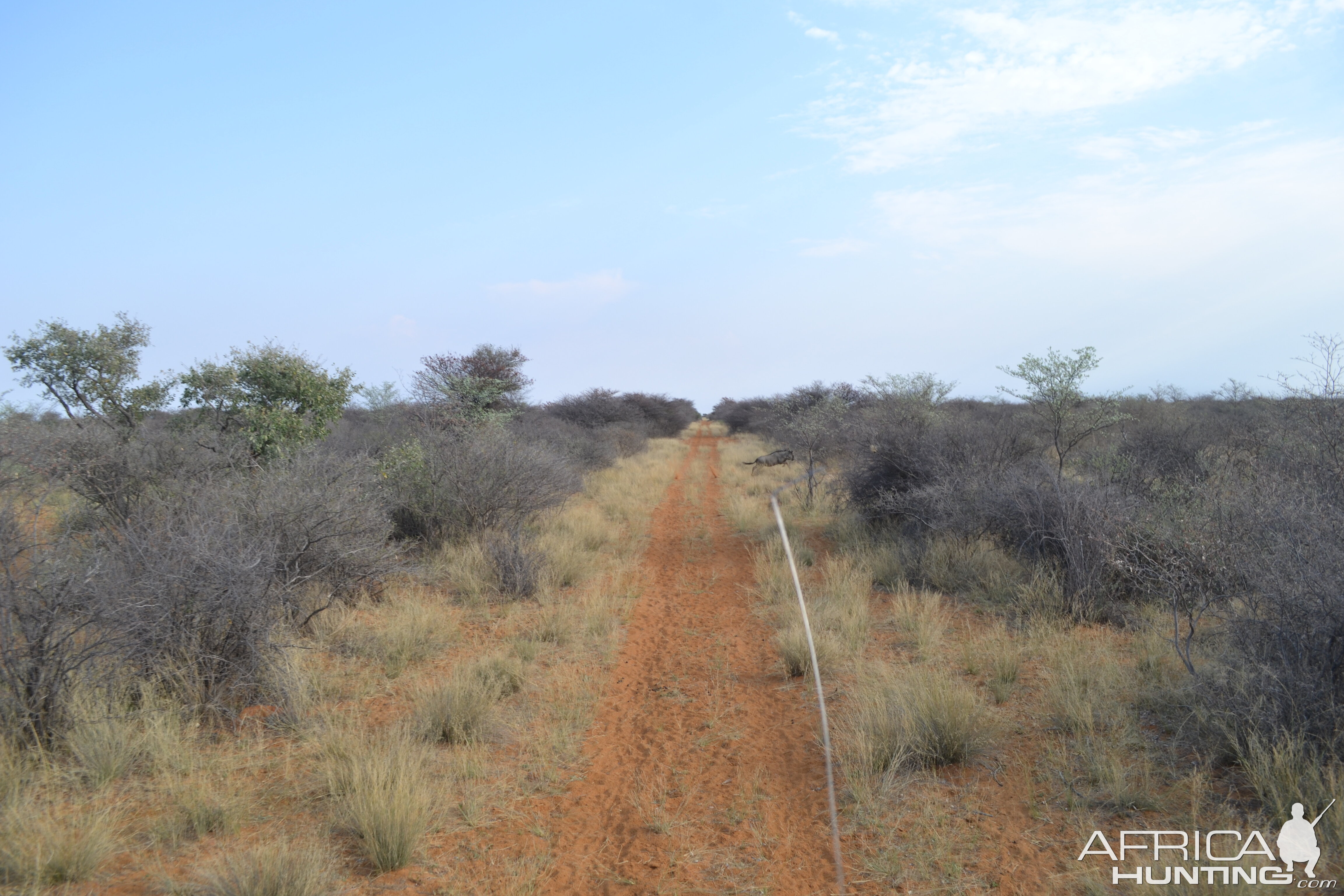 Hunting in Namibia