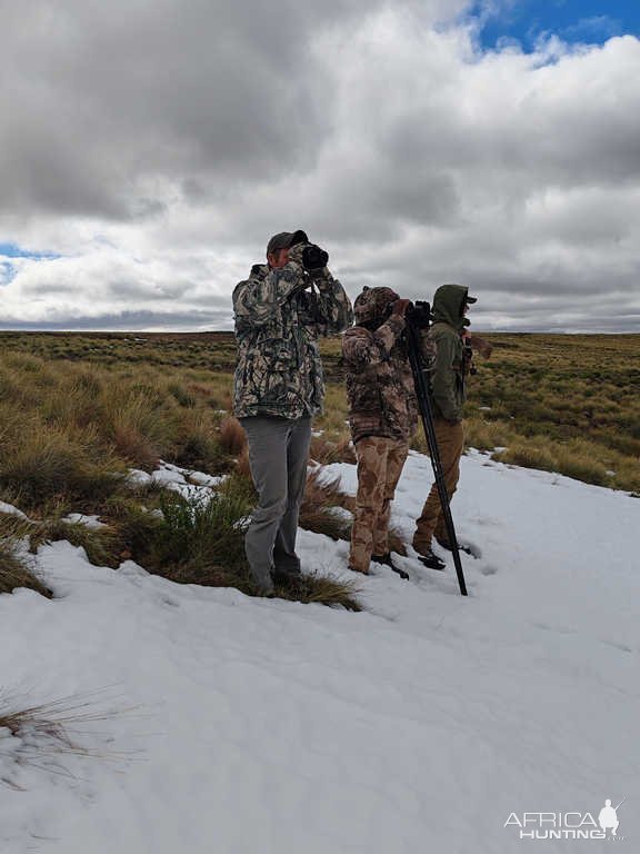 Hunting in Snow Eastern Cape South Africa