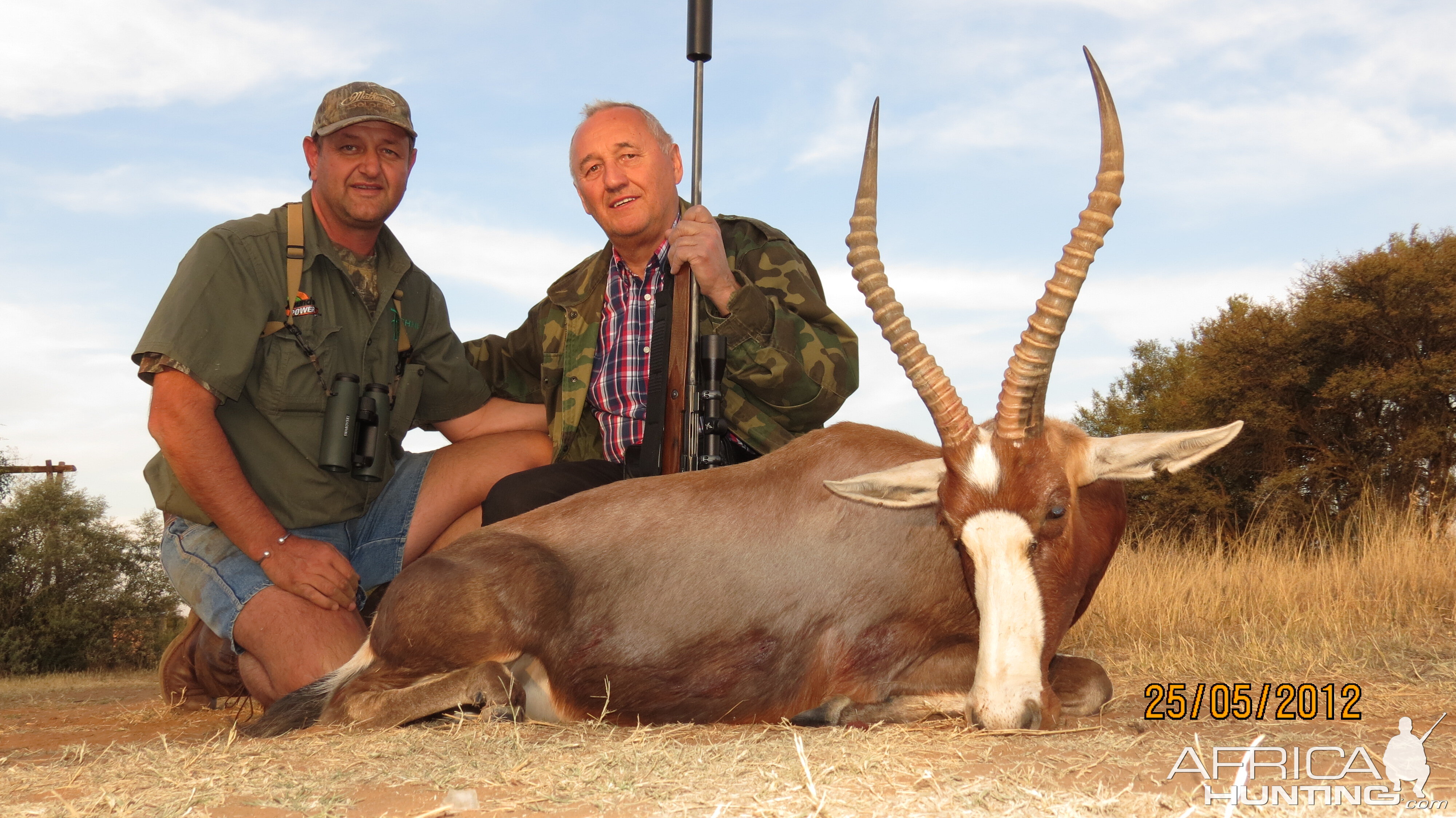 Hunting in South Africa Blesbok