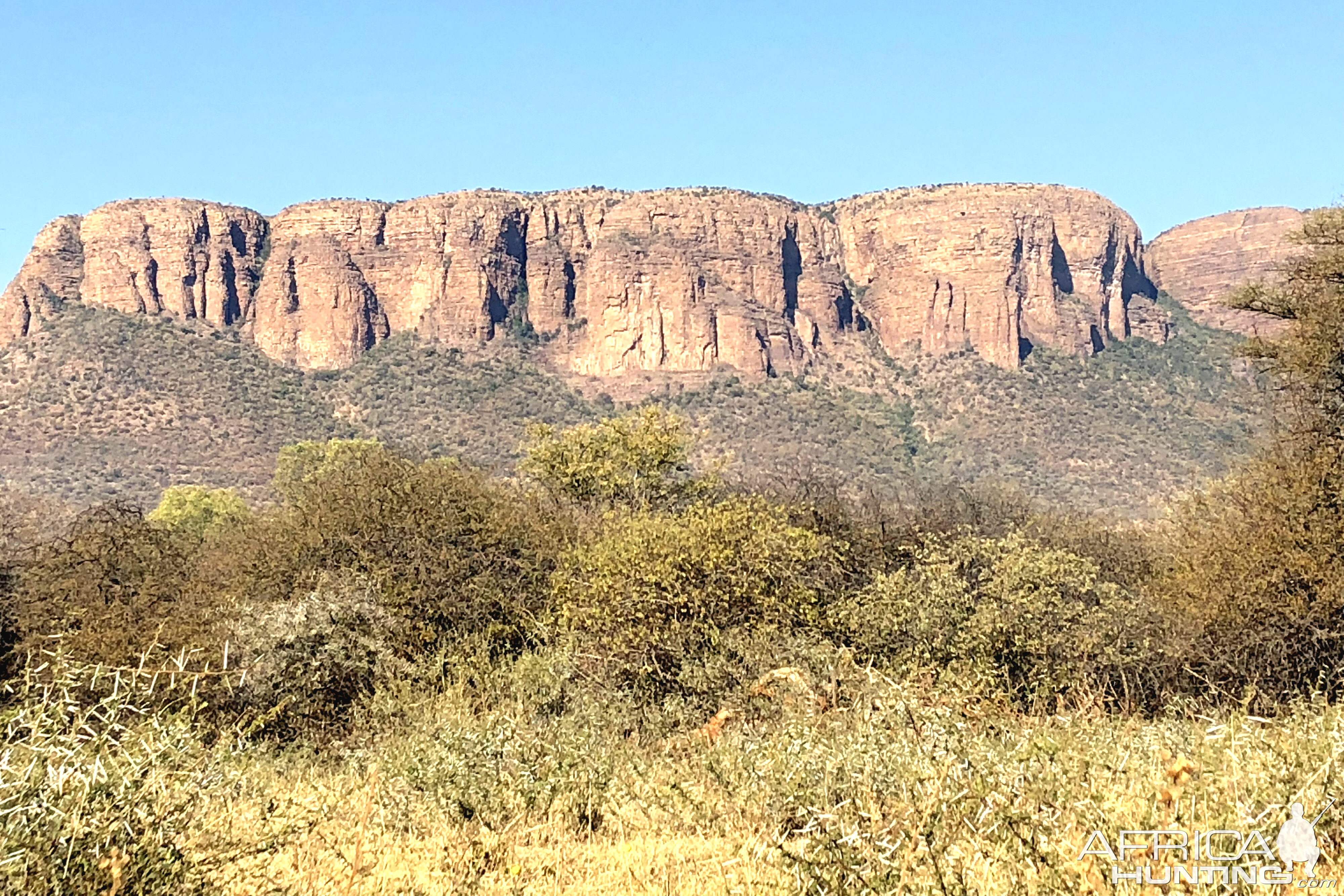 Hunting in South Africa