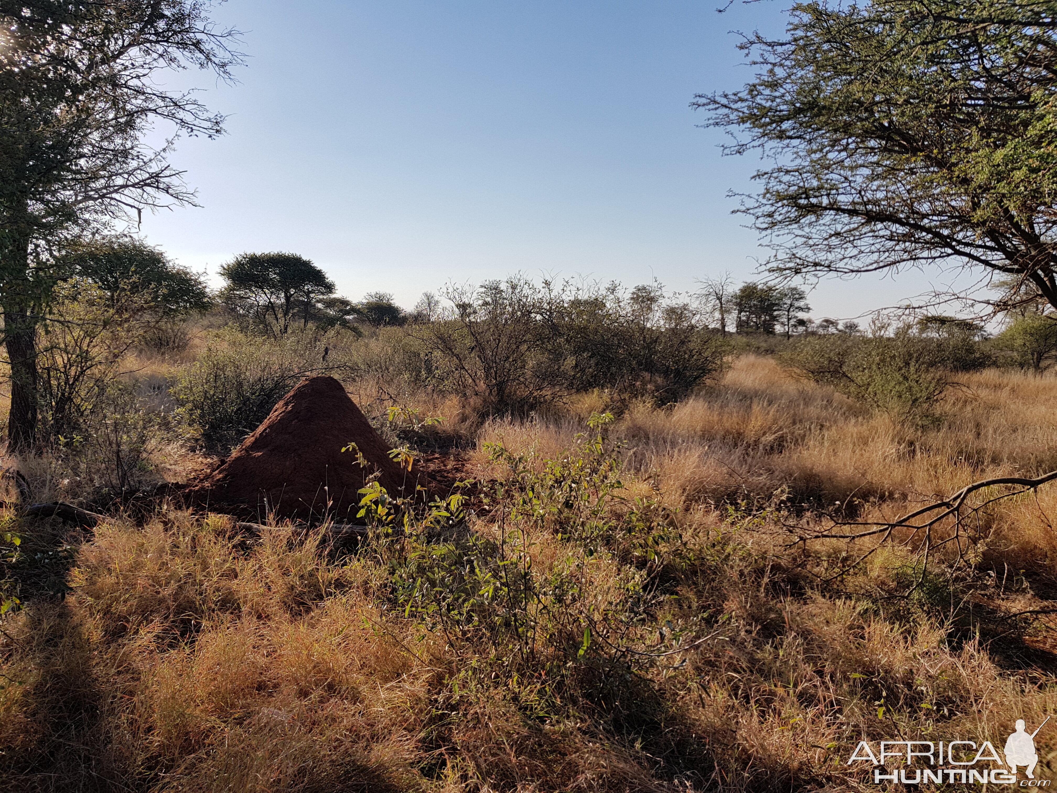 Hunting in South Africa