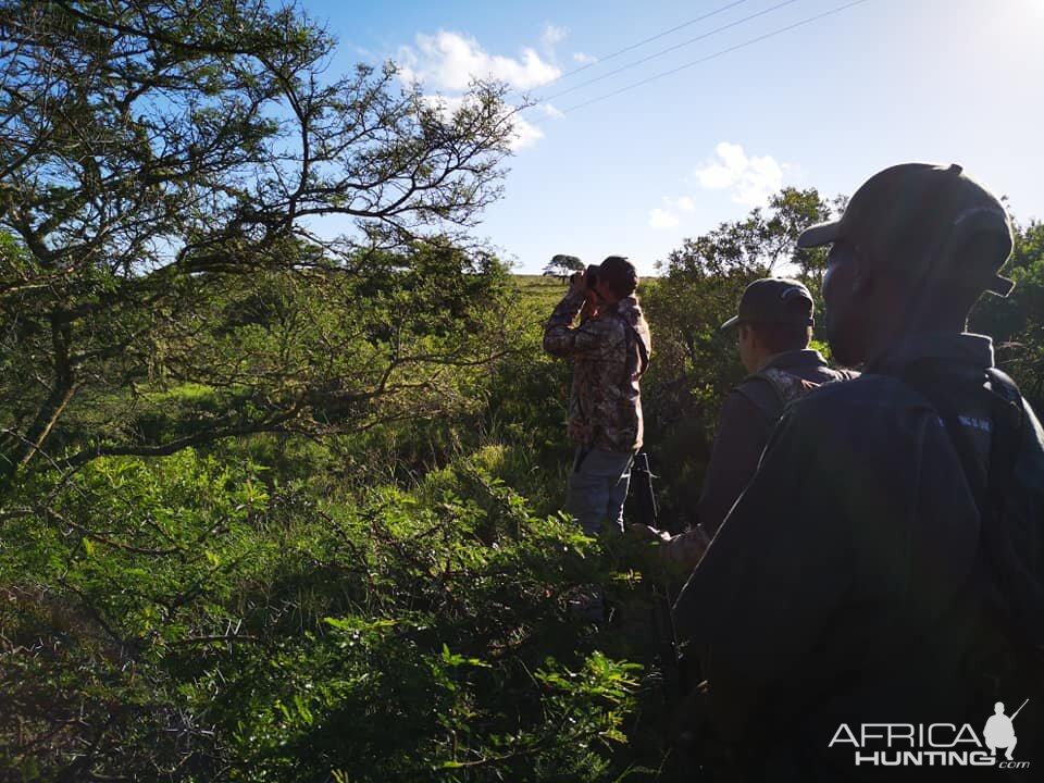 Hunting in South Africa