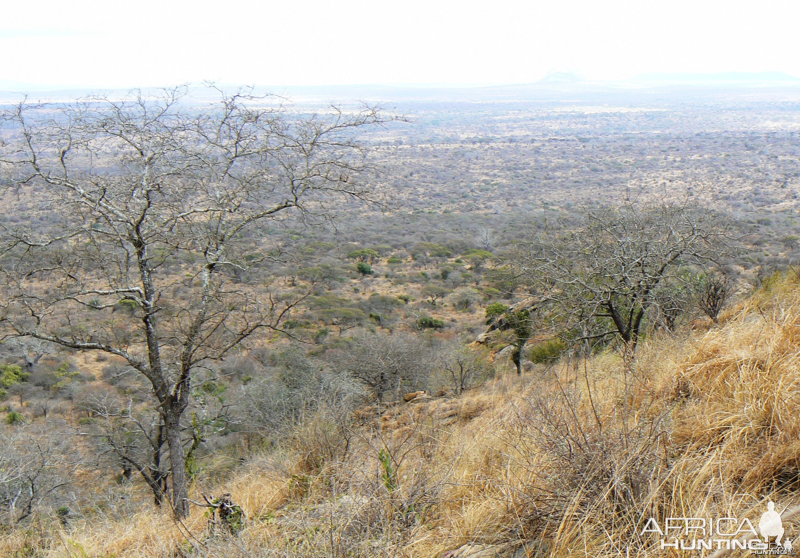 Hunting in Tanzania