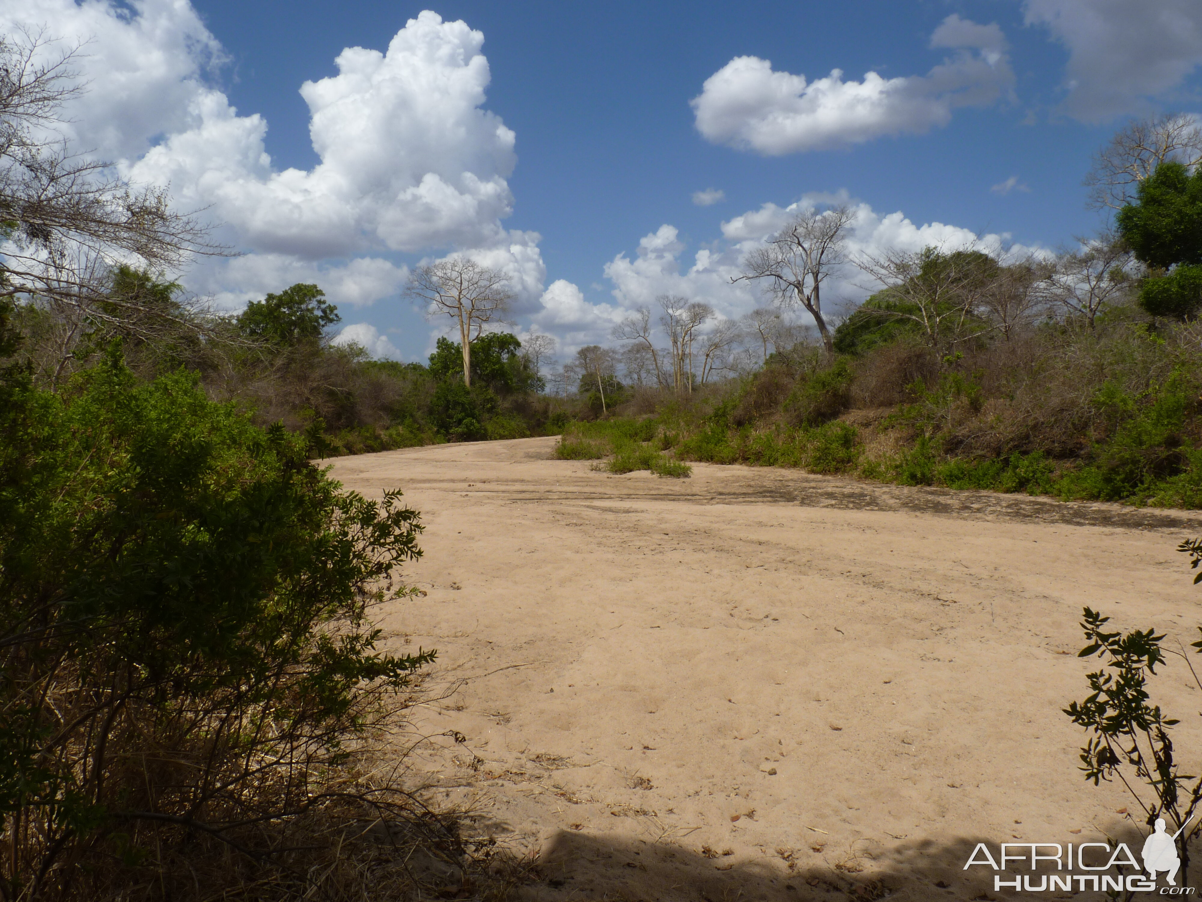 Hunting in Tanzania